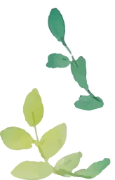 草