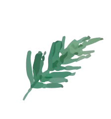 草
