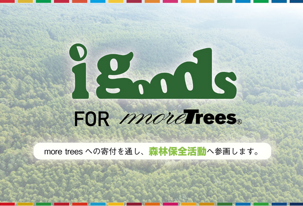 more treesへの寄付を通し、森林保全活動を開始しました