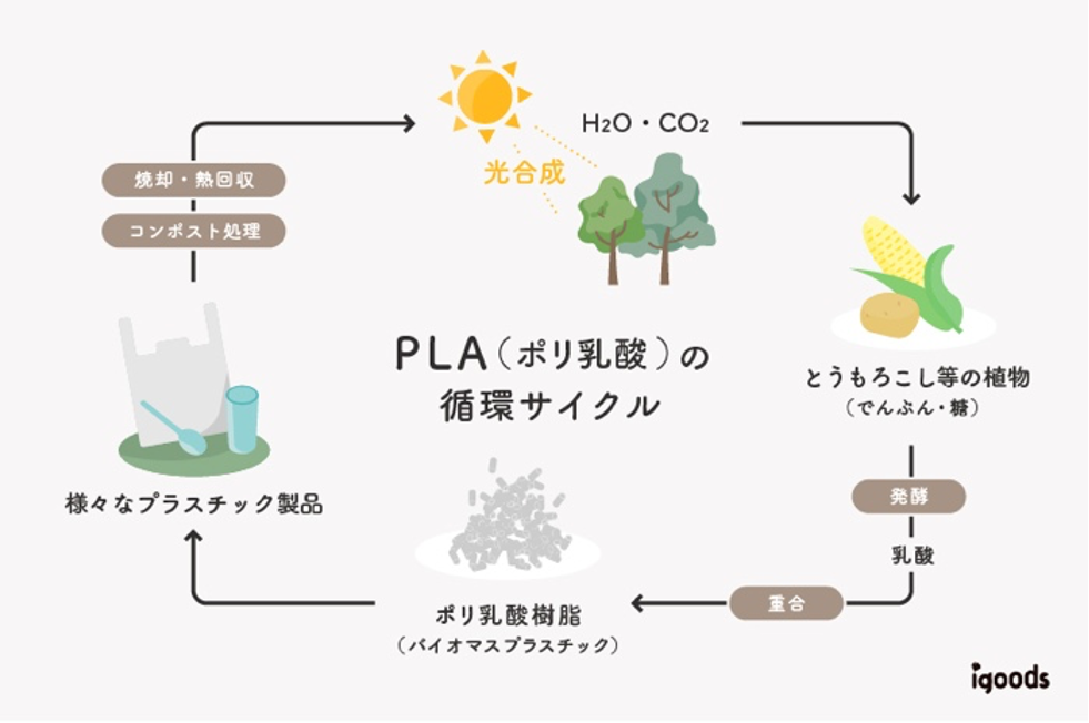 PLA（植物由来のエコなプラスチック）を使用し、CO2排出量削減