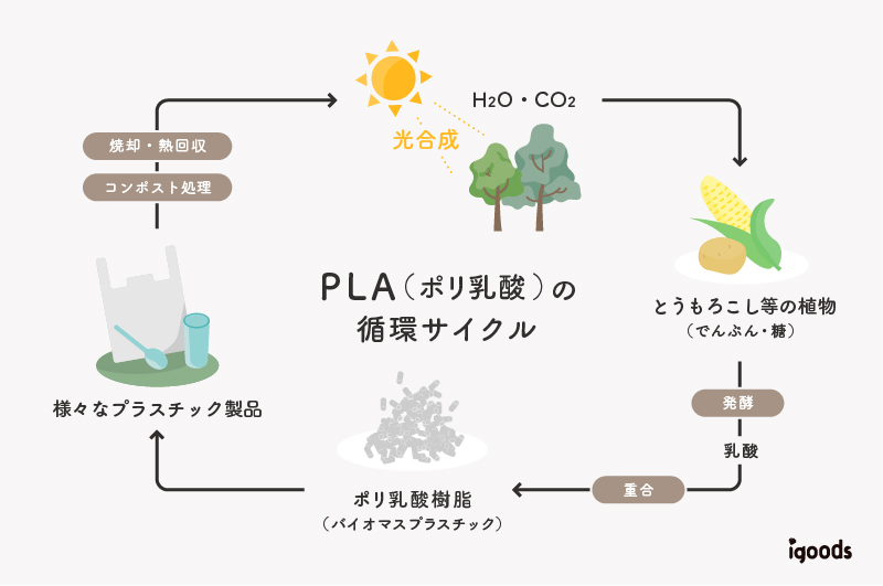 PLA（植物由来のエコなプラスチック）を使用し、CO2排出量削減