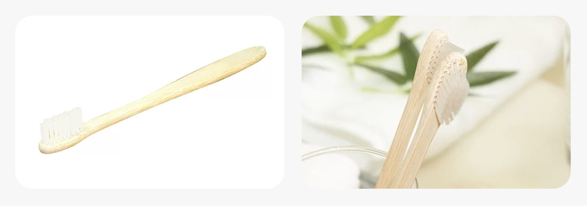 SUS Organic tooth brush-100% plant-based-（オーガニック ひまし油使用 竹歯ブラシ）